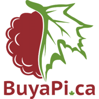 BuyaPi.ca